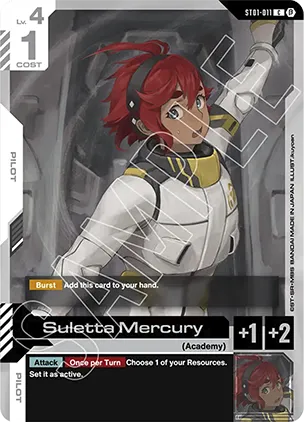 Pilot Card