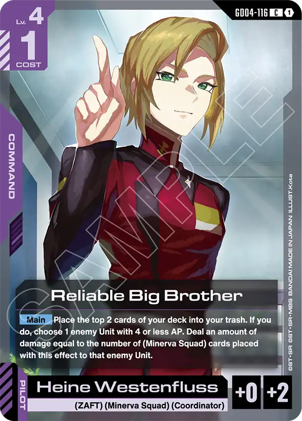 Reliable Big Brother [C]