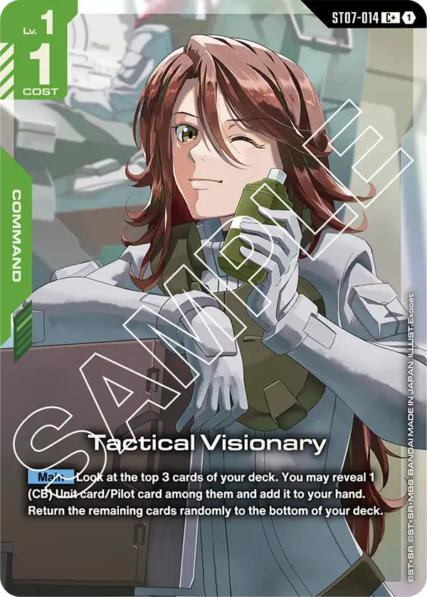 Tactical Visionary [C+]
