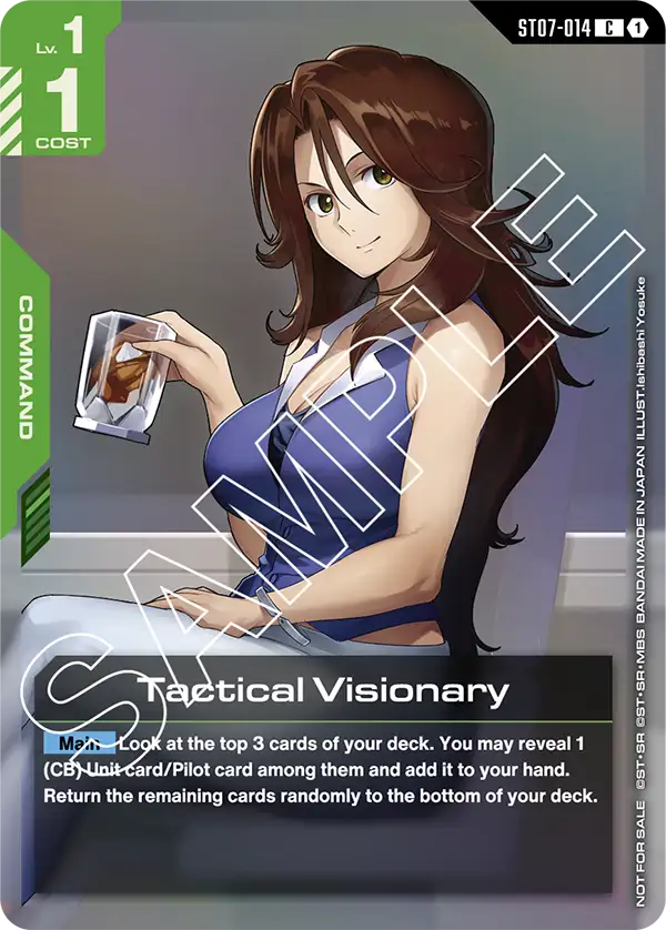 Tactical Visionary [C]