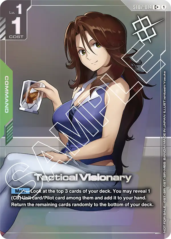 Tactical Visionary [C+]